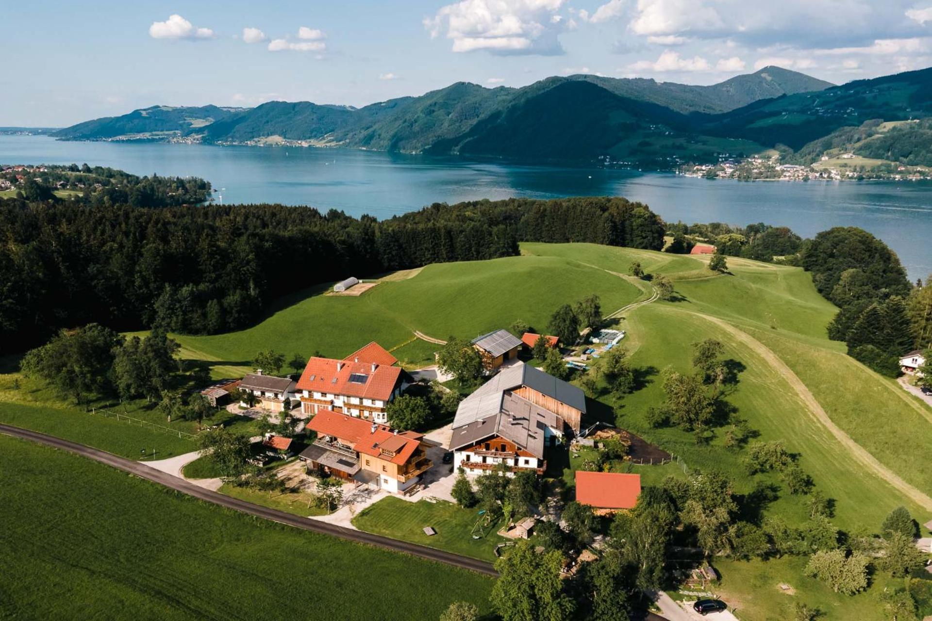 Ferienwohnung Grubinger Unterach am Attersee Extérieur photo